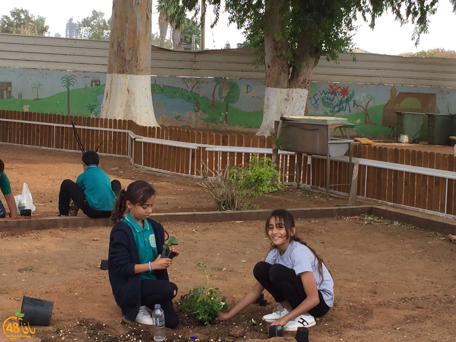 healthday38u (14).jpg